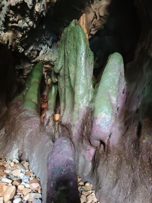 Romantico Acogedor Apartamento En Llanes Exteriör bild