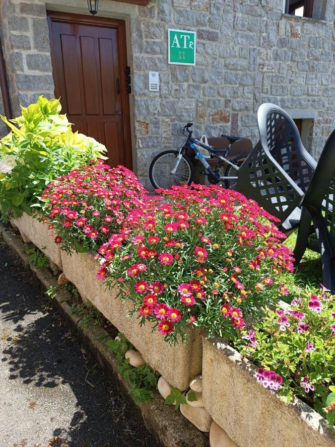 Romantico Acogedor Apartamento En Llanes Exteriör bild