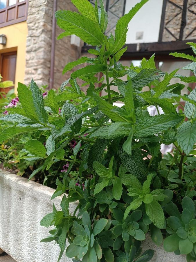 Romantico Acogedor Apartamento En Llanes Exteriör bild