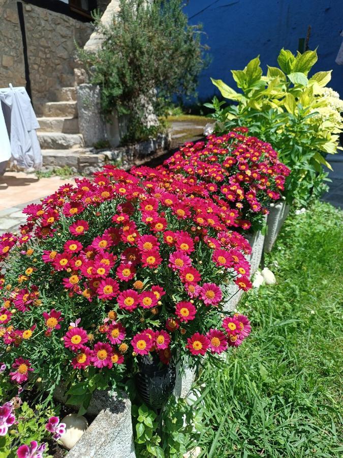 Romantico Acogedor Apartamento En Llanes Exteriör bild